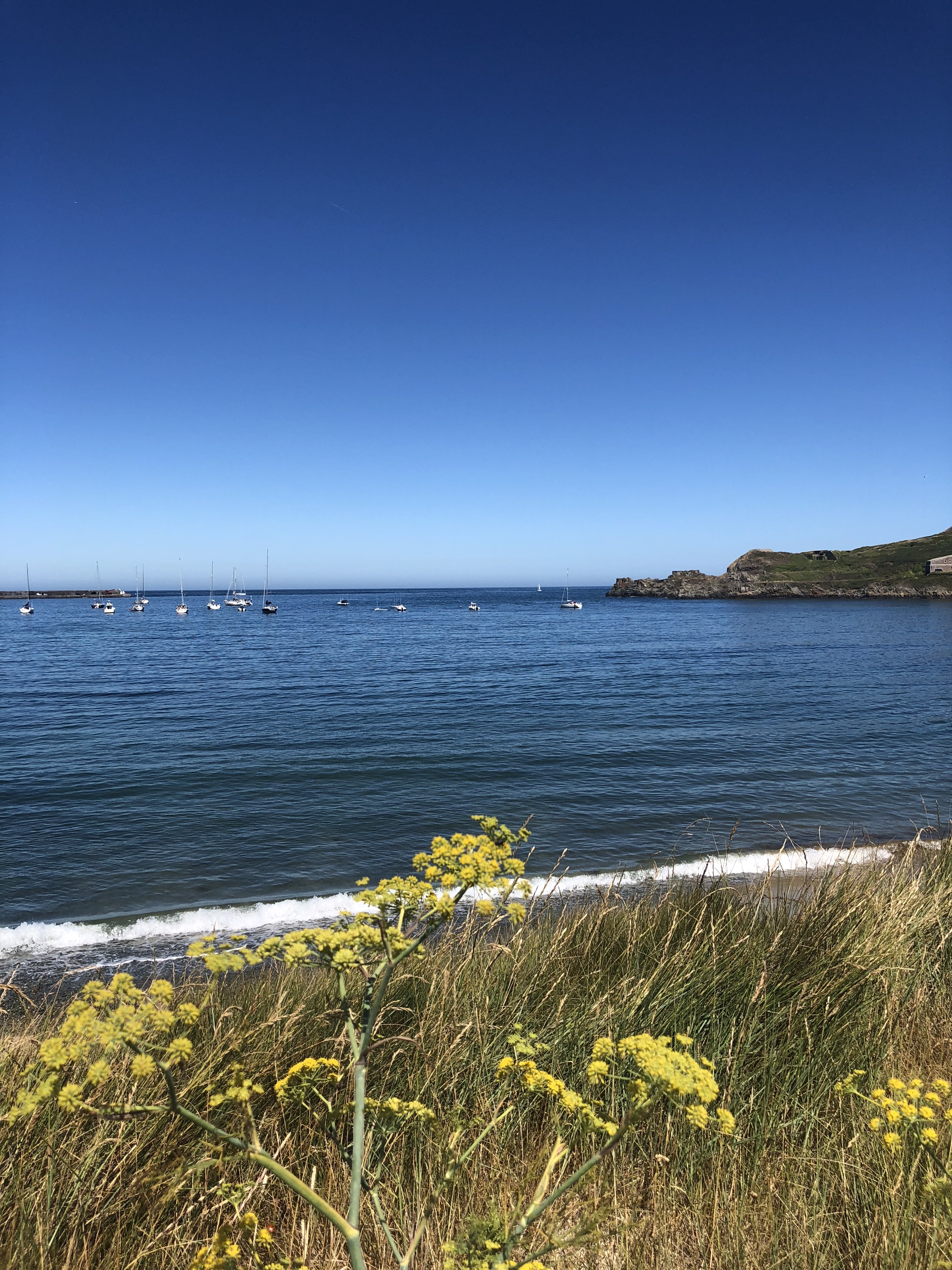 De baai van Alderney