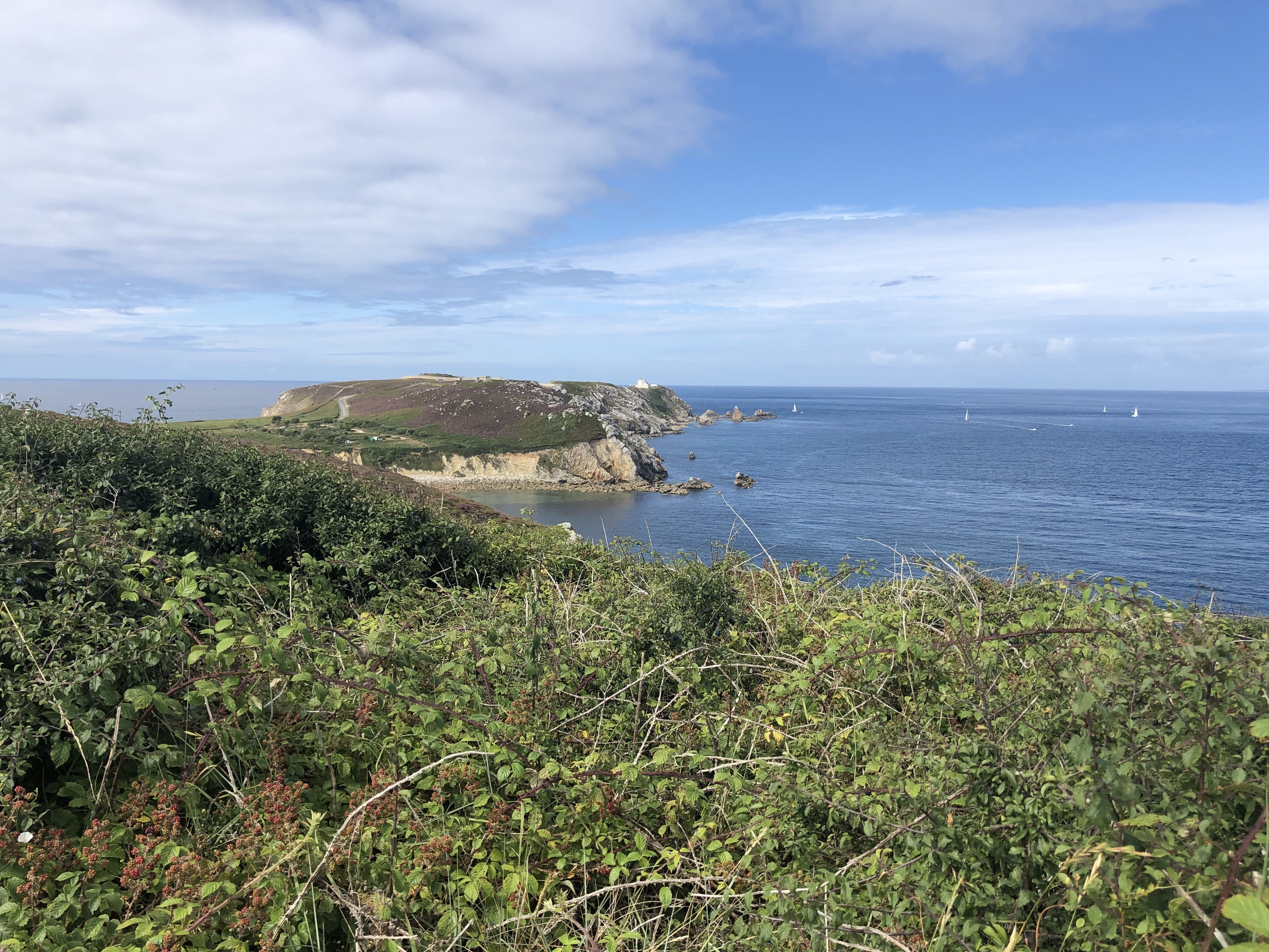 De klif bij Camaret-sur-Mer