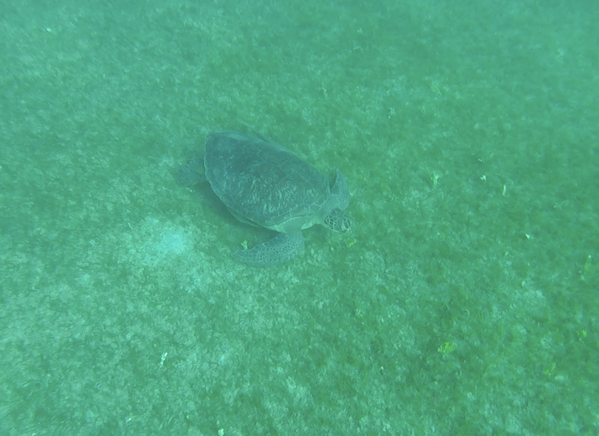 Schermafdruk 2019-06-07 10.24.39.png